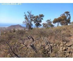 Bonito terreno en zona las Chozas, Granadilla de Abona