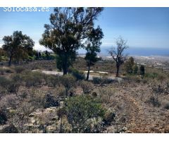Bonito terreno en zona las Chozas, Granadilla de Abona