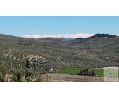 Casa en Venta en Alcalá la Real, Jaén