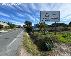 el meloncillo