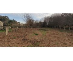 Terreno rural en Venta en Pontevedra, Pontevedra