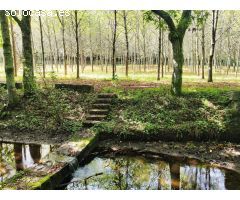 Terreno rural en Venta en Pontevedra, Pontevedra