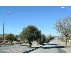 Terreno rural en Venta en Otura, Granada