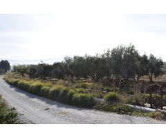 Terreno rural en Venta en Otura, Granada