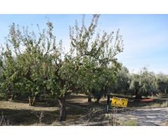 Terreno rural en Venta en Otura, Granada