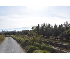 Terreno rural en Venta en Otura, Granada