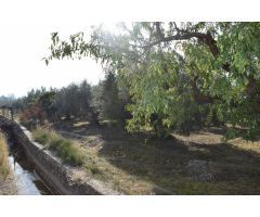 Terreno rural en Venta en Otura, Granada