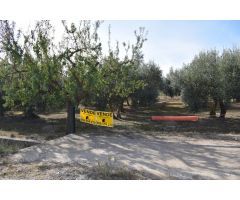 Terreno rural en Venta en Otura, Granada