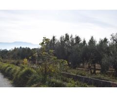 Terreno rural en Venta en Otura, Granada