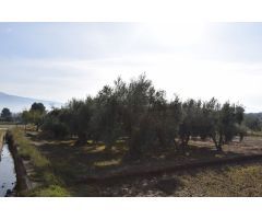 Terreno rural en Venta en Otura, Granada
