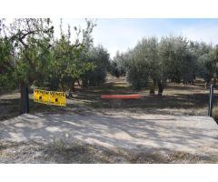Terreno rural en Venta en Otura, Granada