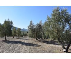 Terreno rural en Venta en Otura, Granada