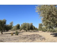 Terreno rural en Venta en Otura, Granada