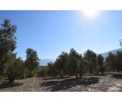 Terreno rural en Venta en Otura, Granada