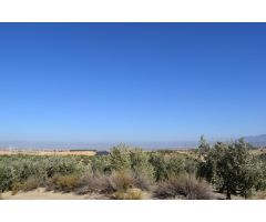 Terreno rural en Venta en Otura, Granada