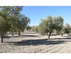 Terreno rural en Venta en Otura, Granada