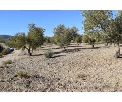 Terreno rural en Venta en Otura, Granada