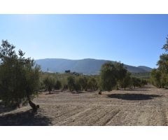 Terreno rural en Venta en Otura, Granada