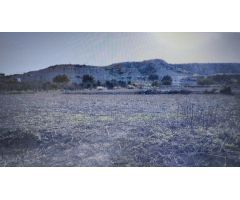 Parcela en Venta en Campos del Río, Murcia