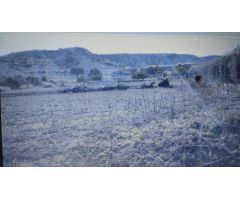 Parcela en Venta en Campos del Río, Murcia
