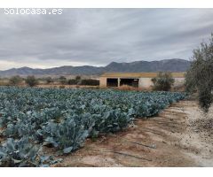Terreno urbanizable-La Hoya