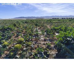 Terreno Agrícola en Venta en Lébor (Totana)