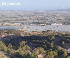 Vivienda en Monte Natural con Coto de Caza - Totana