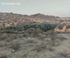Vivienda en Monte Natural con Coto de Caza - Totana