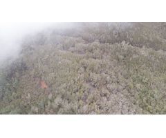 Terreno rural en Venta en Los Silos, Santa Cruz de Tenerife