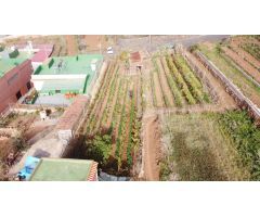 Parcela en Venta en La Matanza de Acentejo, Santa Cruz de Tenerife