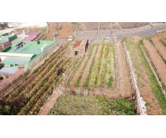 Parcela en Venta en La Matanza de Acentejo, Santa Cruz de Tenerife