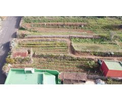 Parcela en Venta en La Matanza de Acentejo, Santa Cruz de Tenerife