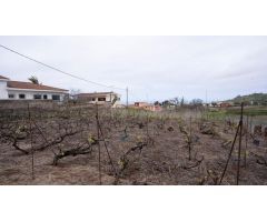Solar en Venta en Tacoronte, Santa Cruz de Tenerife