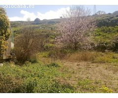 Terreno rural en Venta en El Sauzal, Santa Cruz de Tenerife
