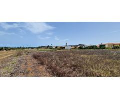 Terreno rural en Venta en San Cristobal de La Laguna, Santa Cruz de Tenerife