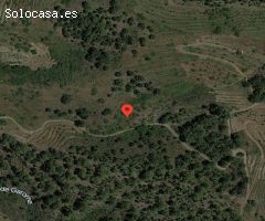 Terreno rural en Venta en Puntagorda, Santa Cruz de Tenerife