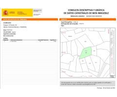 Terreno rural en Venta en Puntagorda, Santa Cruz de Tenerife