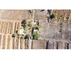 VENTA DE TERRENO RÚSTICO EN EL SAUZAL, CON CUARTO DE APEROS