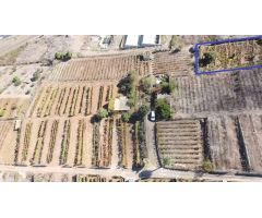 VENTA DE TERRENO RÚSTICO EN EL SAUZAL