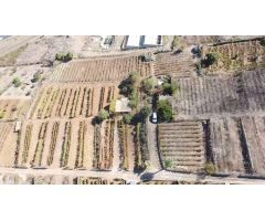 VENTA DE TERRENO RÚSTICO EN EL SAUZAL