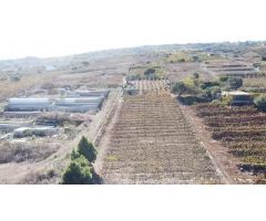 VENTA DE TERRENO RÚSTICO EN EL SAUZAL