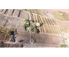 VENTA DE TERRENO RÚSTICO EN EL SAUZAL