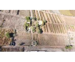 VENTA DE TERRENO RÚSTICO EN EL SAUZAL