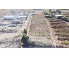 VENTA DE TERRENO RÚSTICO EN EL SAUZAL