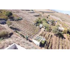VENTA DE TERRENO RÚSTICO EN EL SAUZAL