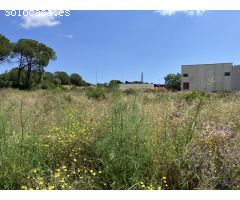 P12 Magnifica Parcela  Industrial en LEscala