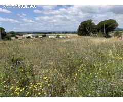 P9 Magnifica  Parcela industrial en  LEscala