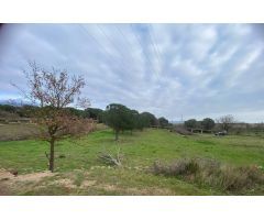 Terreno Rural en Ubicación Privilegiada – 10.696 m² entre Roses, Palau-saverdera y Empuriabrava