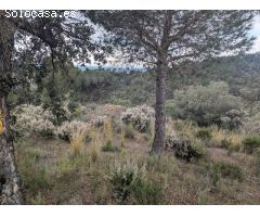 ???? Oportunidad Única: Terreno Rústico de 32.000 m² en un Entorno Natural Privilegiado