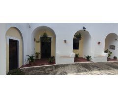 CASA CON ALMACEN, CUEVAS Y TERRENOS.
